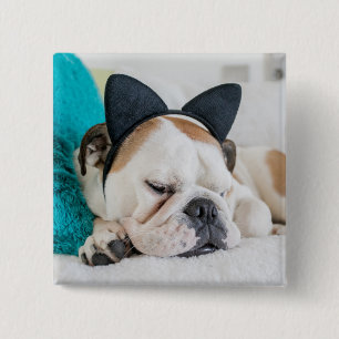Badge Carré 5 Cm Chien somnolent des images   de Getty avec le