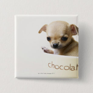 Badge Carré 5 Cm Chihuahua chippy en bol (haché)