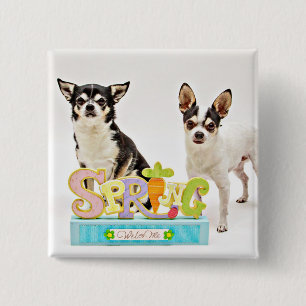 Badge Carré 5 Cm Chihuahua du printemps