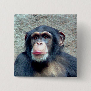 Badge Carré 5 Cm Chimpanzé