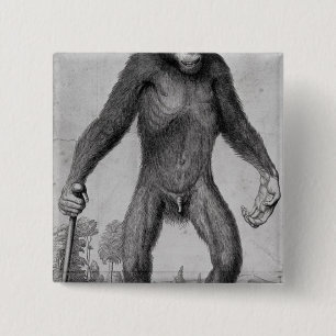 Badge Carré 5 Cm Chimpanzé, 1699