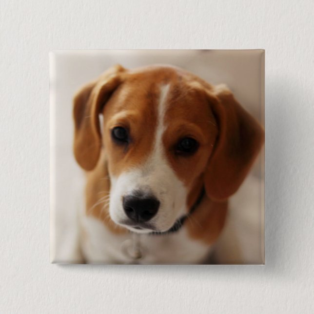 Badge Carré 5 Cm Chiot 2 de beagle (Devant)
