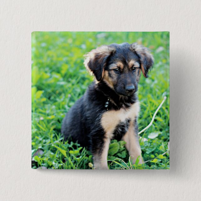 Badge Carré 5 Cm Chiot berger allemand (Devant)