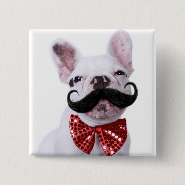 Badge Carré 5 Cm Chiot de chien de Taureau de Français avec la (Devant)