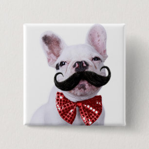 Badge Carré 5 Cm Chiot de chien de Taureau de Français avec la