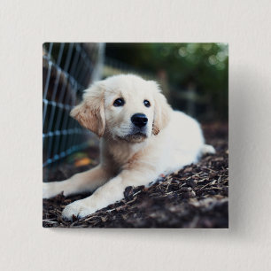 Badge Carré 5 Cm Chiot de Labrador jouant dans le jardin