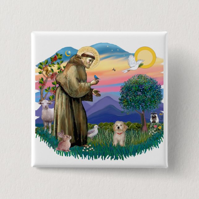 Badge Carré 5 Cm Chiot Havanais (Devant)