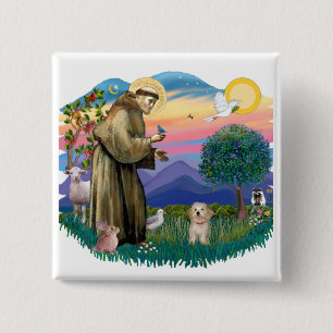 Badge Carré 5 Cm Chiot Havanais