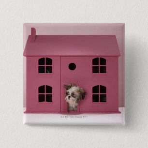 Badge Carré 5 Cm Chiot scrutant hors de la maison de poupée