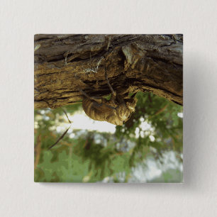 Badge Carré 5 Cm Cicada shell. It was in a hurry.