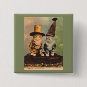Badge Carré 5 Cm circa 1900 chats en RPPC casquette