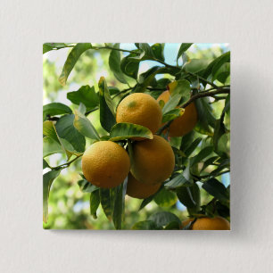Badge Carré 5 Cm Citrons Jaunes Sur L'Arbre