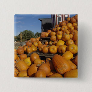 Badge Carré 5 Cm Citrouilles à la ferme en automne près d'accord,