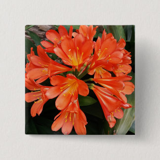 Badge Carré 5 Cm Clivia Miniata - La Belle Fleur Orange