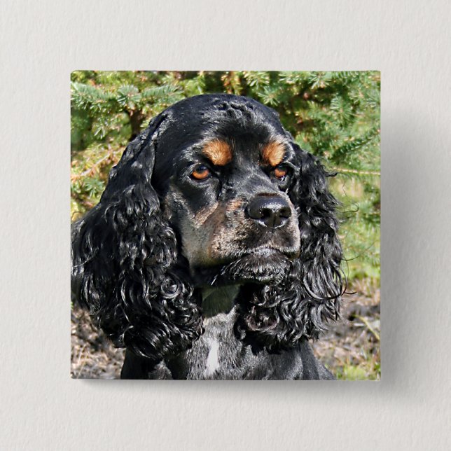 Badge Carré 5 Cm Cocker Spaniel (Devant)