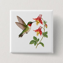 Colibri à gorge rubis dans un jardin fleuri