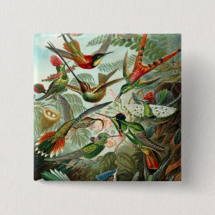 Badge Carré 5 Cm Colibri (Trochilidae) par Haeckel Button