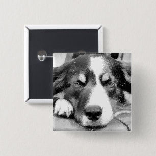 BADGE CARRÉ 5 CM COLLIE FRONTALIÈRE