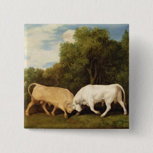Badge Carré 5 Cm Combat de taureaux de George Stubbs , 1786 (huile