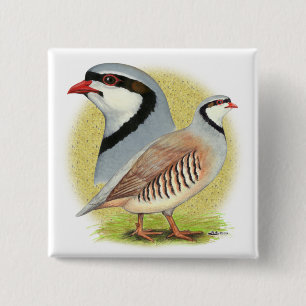 Badge Carré 5 Cm Combo de perdrix de Chukar