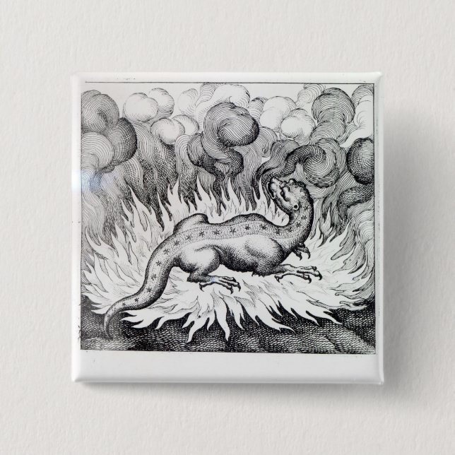Badge Carré 5 Cm Comme vies de salamandre en feu (Devant)