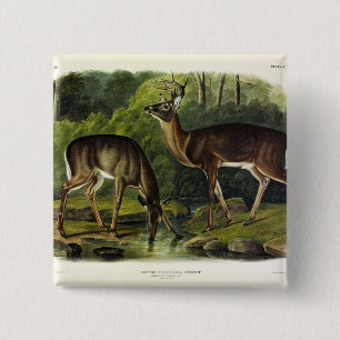 Badge Carré 5 Cm Common Deer