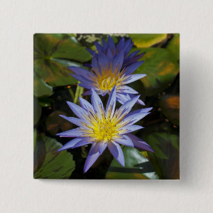Badge Carré 5 Cm Conception botanique florale de nénuphar tropical
