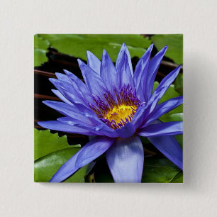 Badge Carré 5 Cm Conception botanique florale de nénuphar tropical