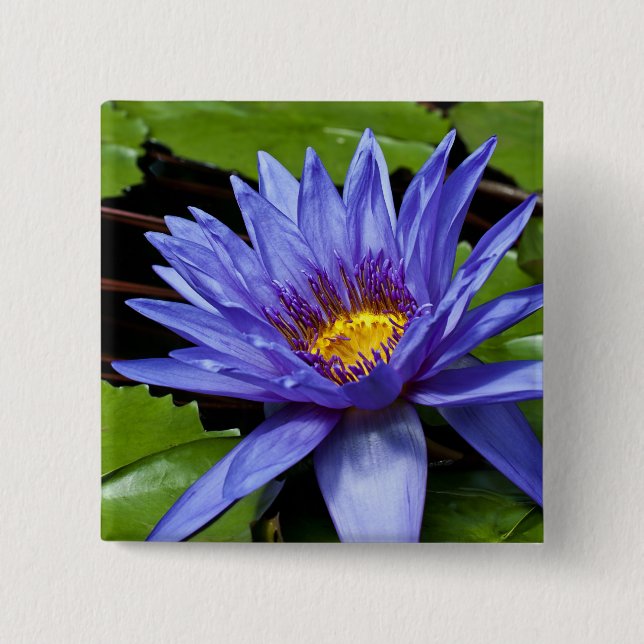 Badge Carré 5 Cm Conception botanique florale de nénuphar tropical (Devant)