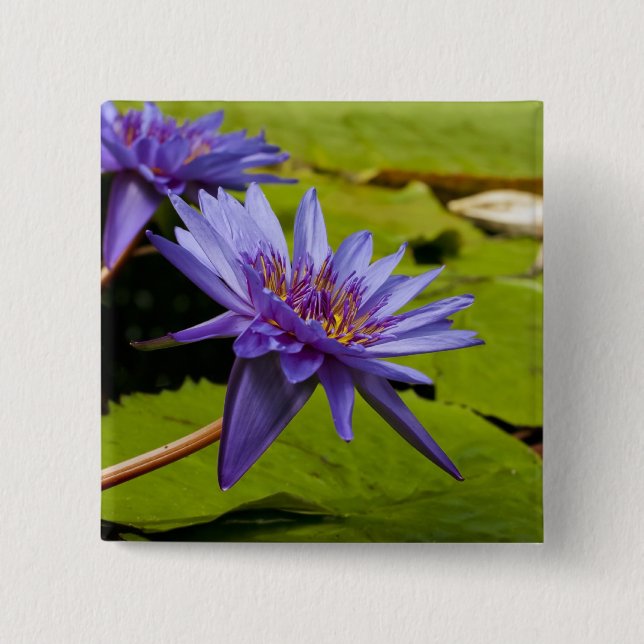 Badge Carré 5 Cm Conception botanique florale de nénuphar tropical (Devant)