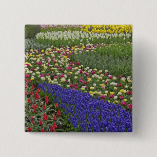 Badge Carré 5 Cm Conception de jardin de jacinthe des vignes et de