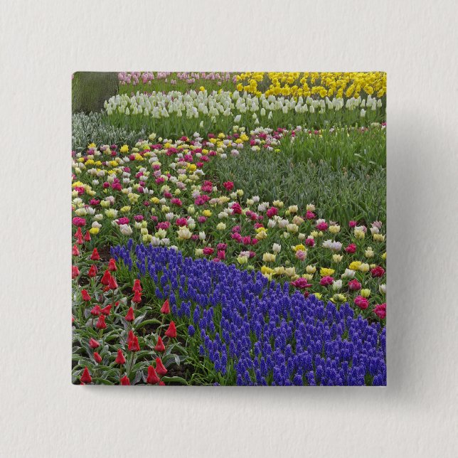 Badge Carré 5 Cm Conception de jardin de jacinthe des vignes et de  (Devant)