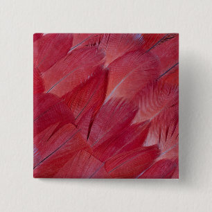 Badge Carré 5 Cm Conception de la plume de perroquet gris africain