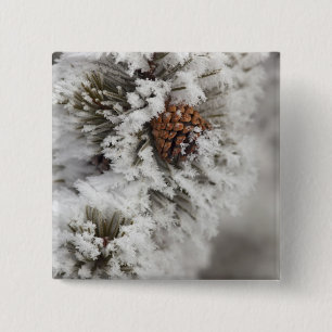 Badge Carré 5 Cm Cône de pin de Lodgepole en hiver dans Yellowston