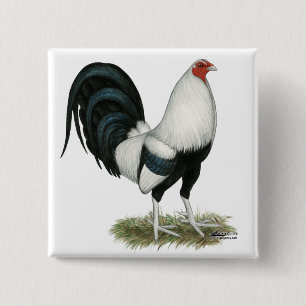 Badge Carré 5 Cm Coq de combat argenté de Duckwing