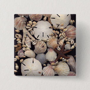 Badge Carré 5 Cm Coquilles