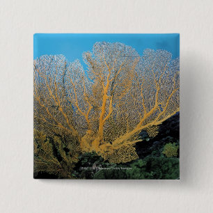 Badge Carré 5 Cm Corail de Gorgonian