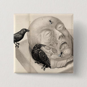 Badge Carré 5 Cm Corneilles et cadavre