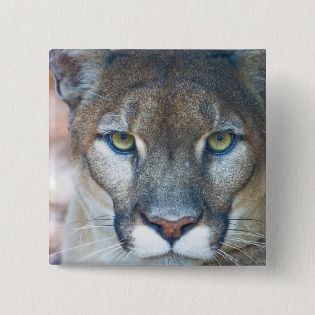 Badge Carré 5 Cm Cougar, puma, panthère de Floride, Puma (Devant)