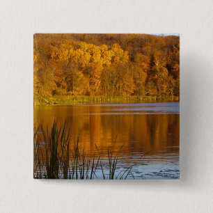 Badge Carré 5 Cm Couleurs d'automne dans le parc d'État Maplewood p