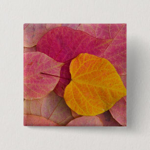 Badge Carré 5 Cm Couleurs d'automne sur feuilles tombées de Forest