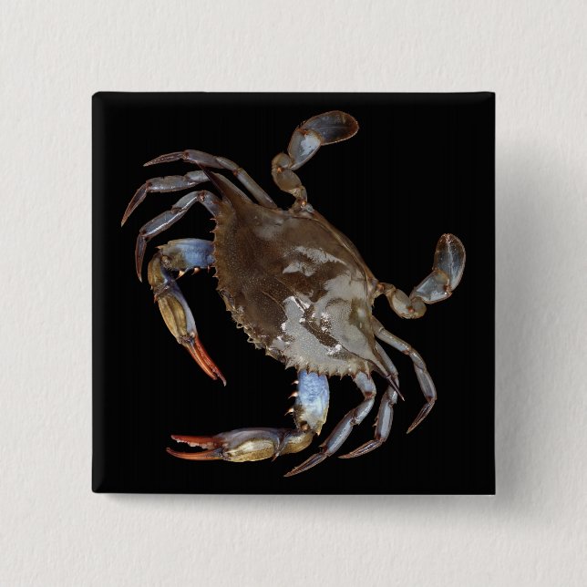 Badge Carré 5 Cm Crabe bleu (Devant)