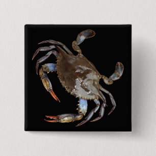 Badge Carré 5 Cm Crabe bleu