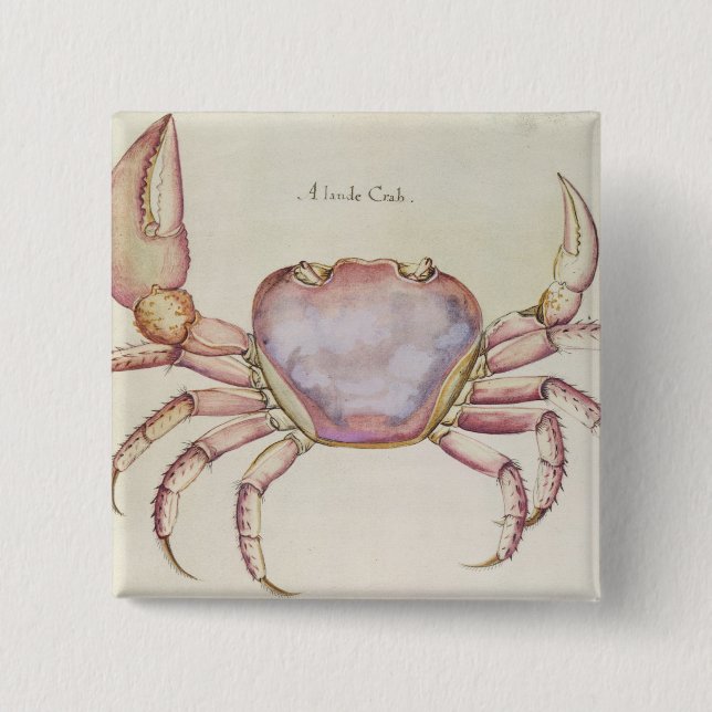 Badge Carré 5 Cm Crabe terrestre (Devant)