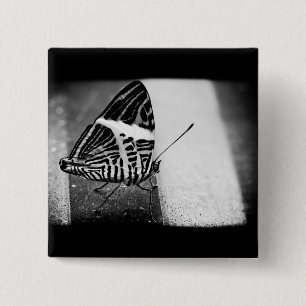 Badge Carré 5 Cm croisement papillon
