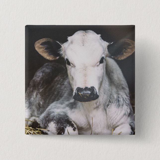 Badge Carré 5 Cm Culture occupée de jour (Devant)