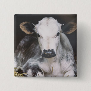 Badge Carré 5 Cm Culture occupée de jour