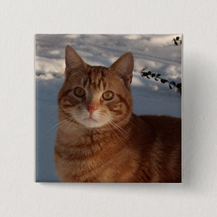 Badge Carré 5 Cm Cute chat