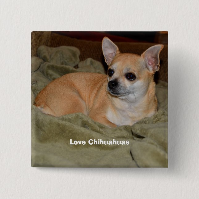 Badge Carré 5 Cm Cute Chihuahua Resting (Devant)