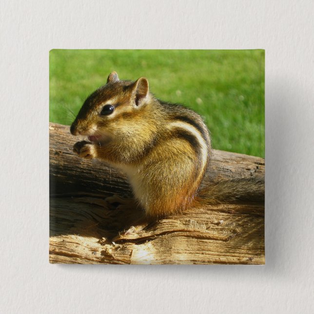 Badge Carré 5 Cm Cute Chipmunk (Devant)